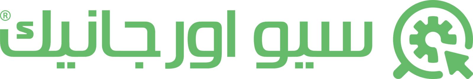 سيو اورجانيك - سيو سلة - أفضل شركة سيو